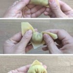 collage of three photos showing how to fold a wonton.