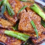 braised tofu slices with scallions.